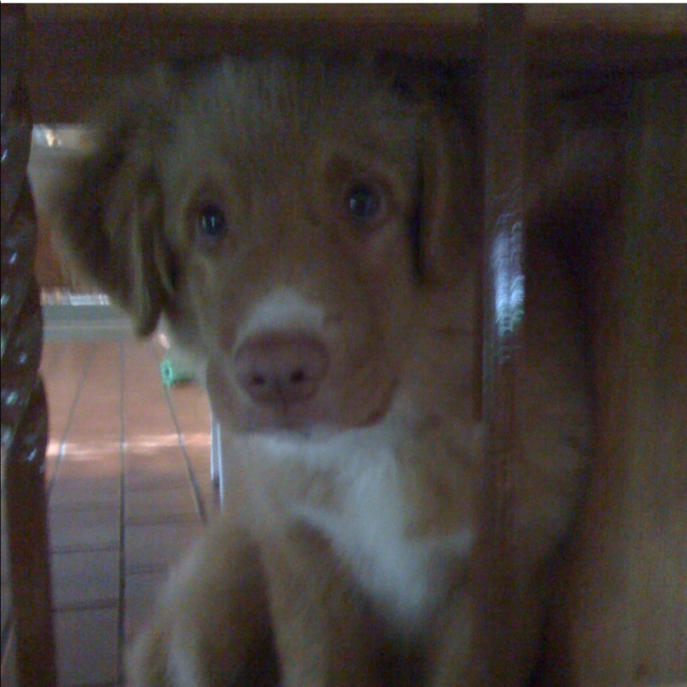 Meet your Posher, Mary